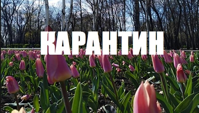  �������� �������� ����������� �������� ������ ��������� ������������� ���������� 