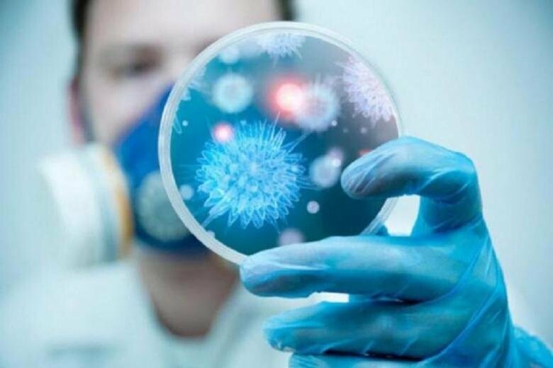  ������ ���� ���������� �������������� ������� covid-19 