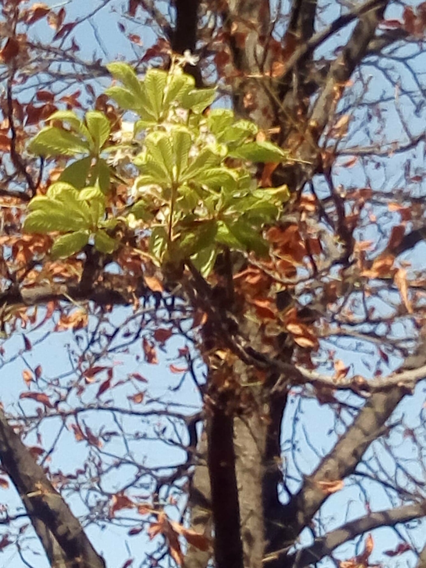  ������ ���� �������� ������� ���� 