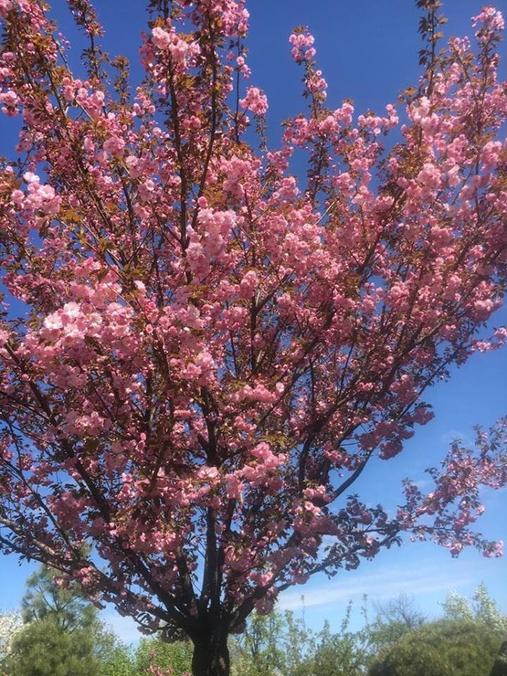  ����� ������� ���� �������� ������ ���� 