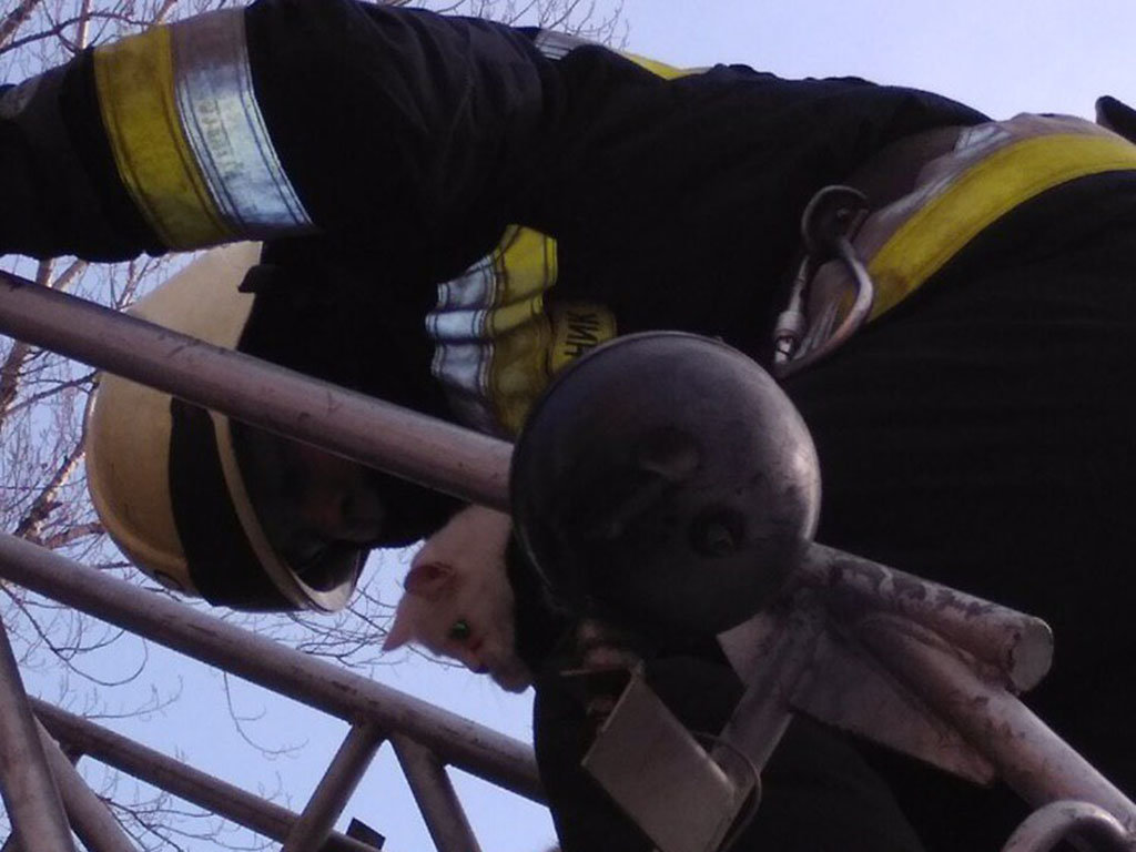 ����: 0564.ua