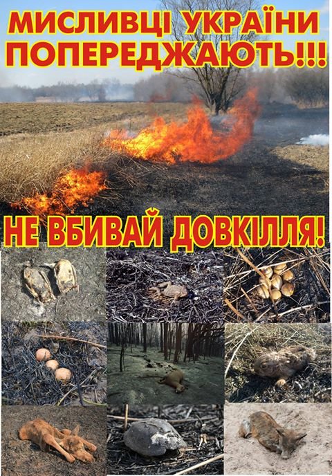  ������������ �������� �������� ������� ������� ������������� �������� �������� 