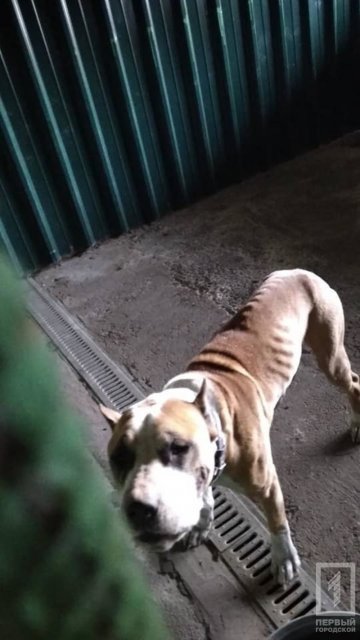  ������ ���� ����� ������� ������ ������� ��������� ���������� 