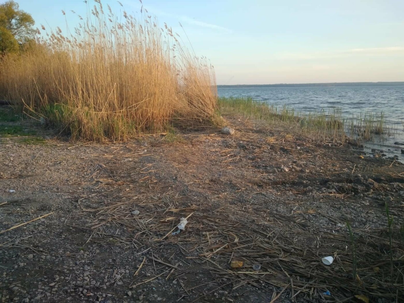  ������ ���� ������ ������������� ���� �������� ������ ������������ 