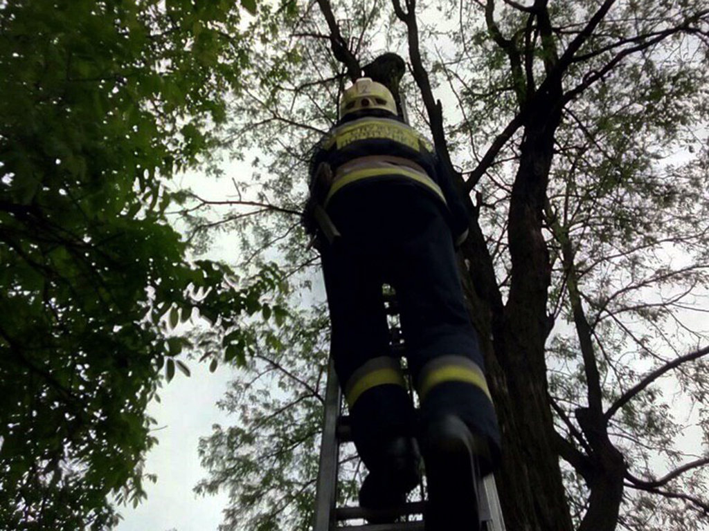 ����: 0564.ua