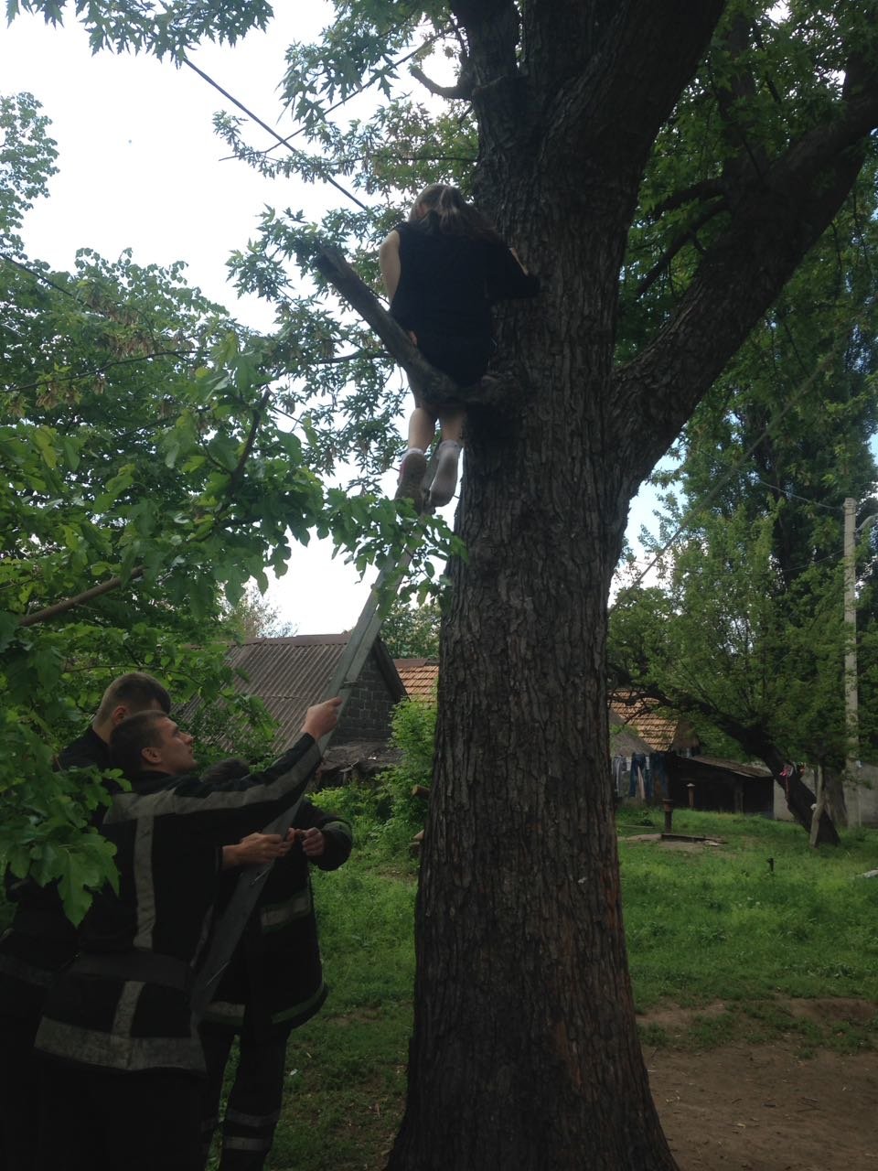 ����: 0564.ua