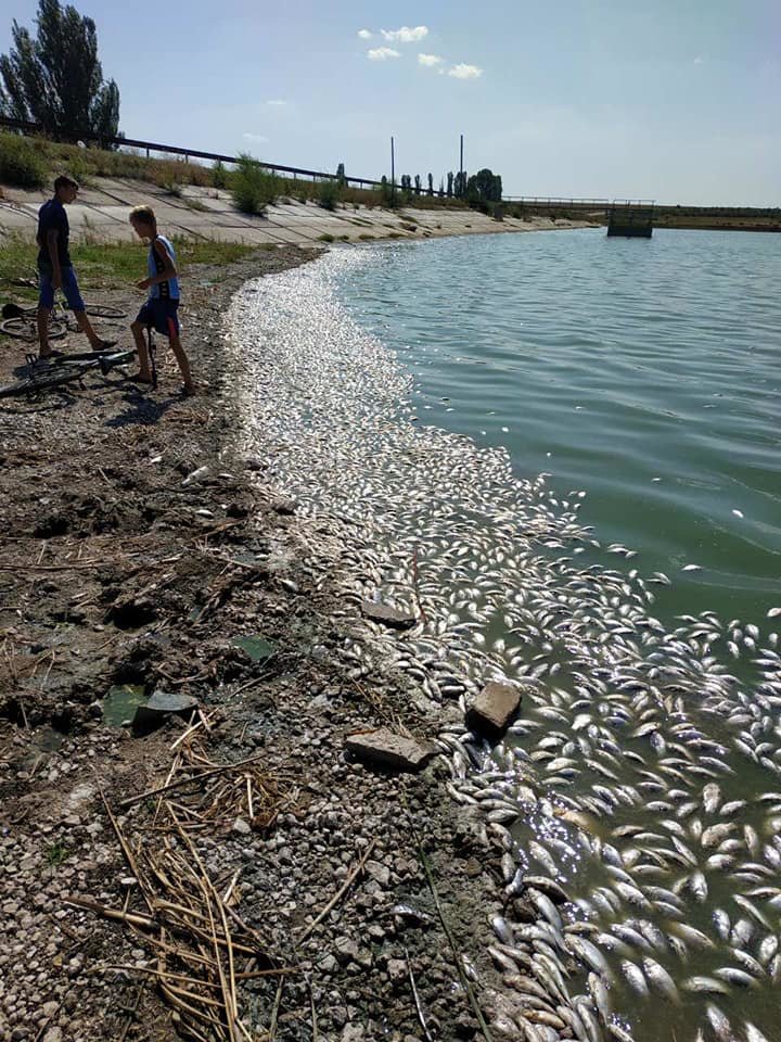  ������ ������ ����� ������� ������ ���� ���� 