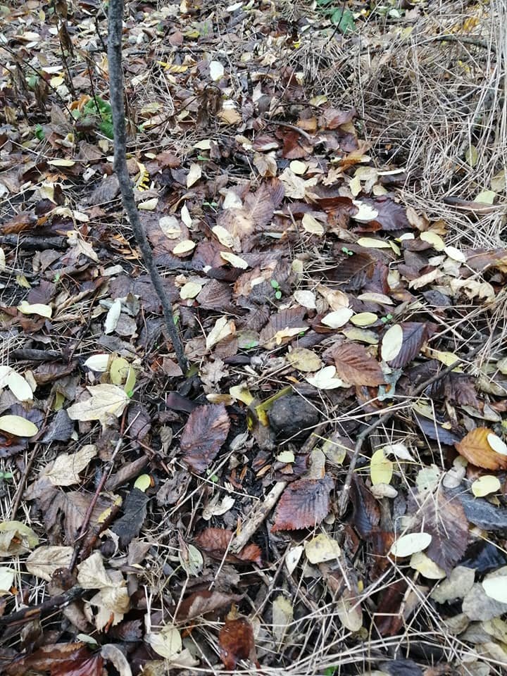 ����: 0564.ua