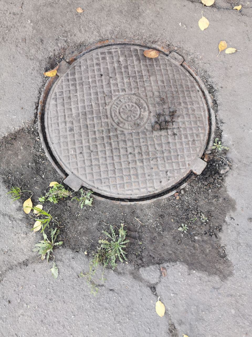  ����������� ����� ��������� �������� ���� �������� ��������� ���� 