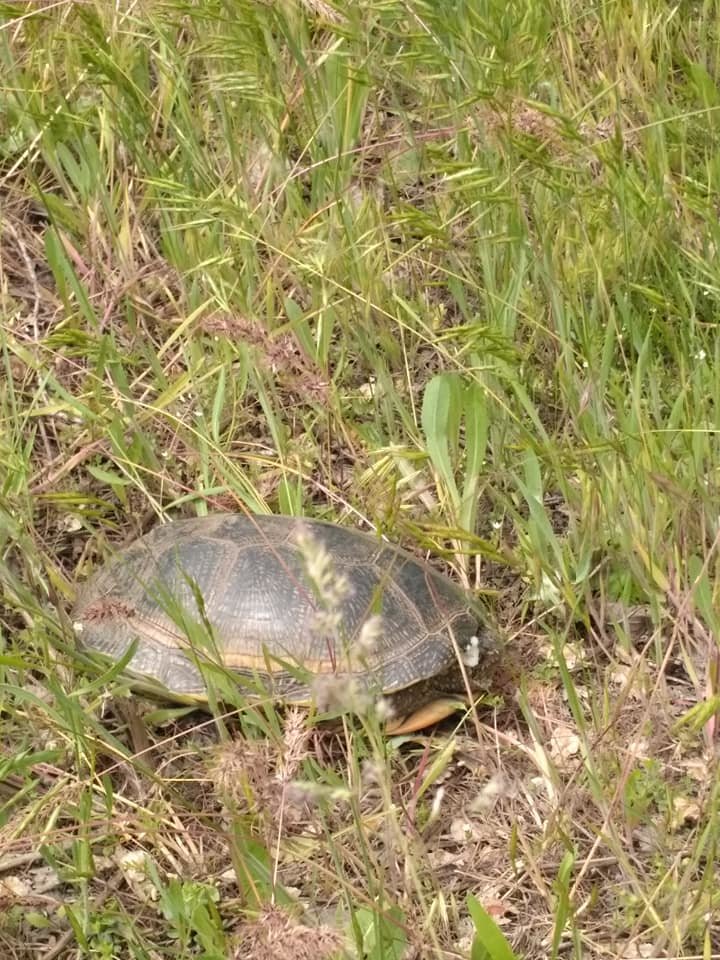  �������� ������ ���� ������� ���� �������� ���� 