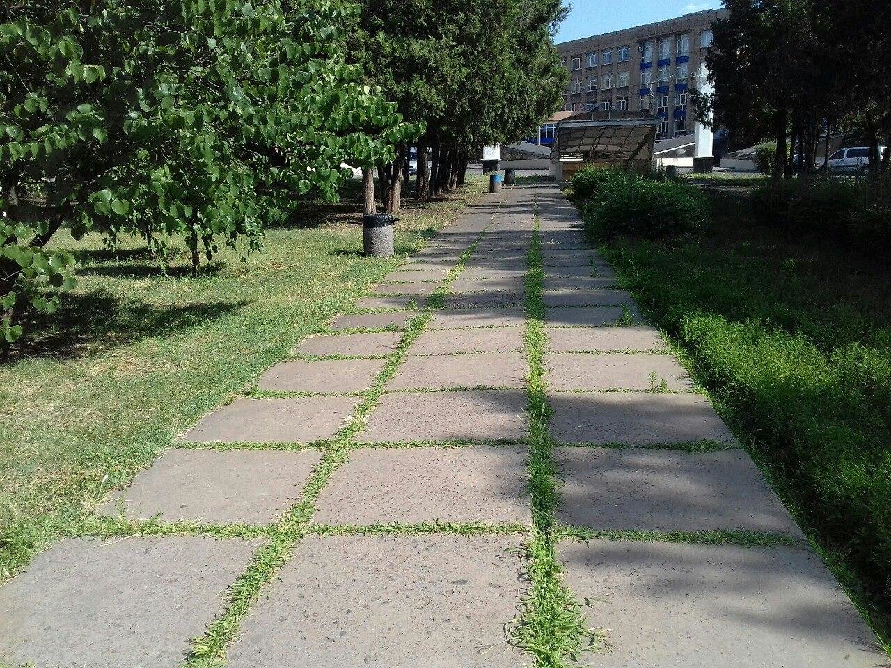  ������ ����������� ������� ������� ���� ���������� ������� ���� 