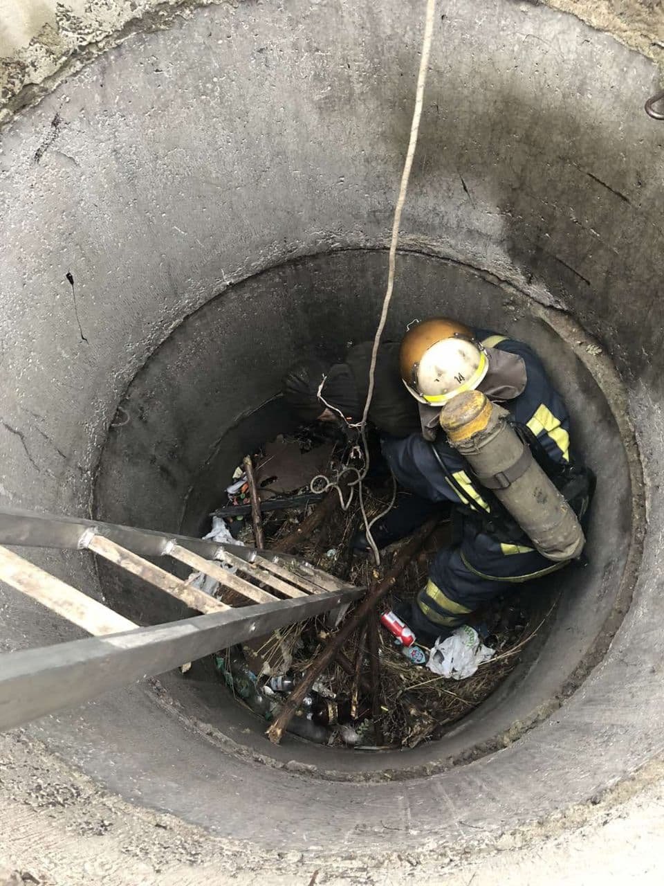  ������������ ��������� ������� ������� ���� ����������� ������� ������� 