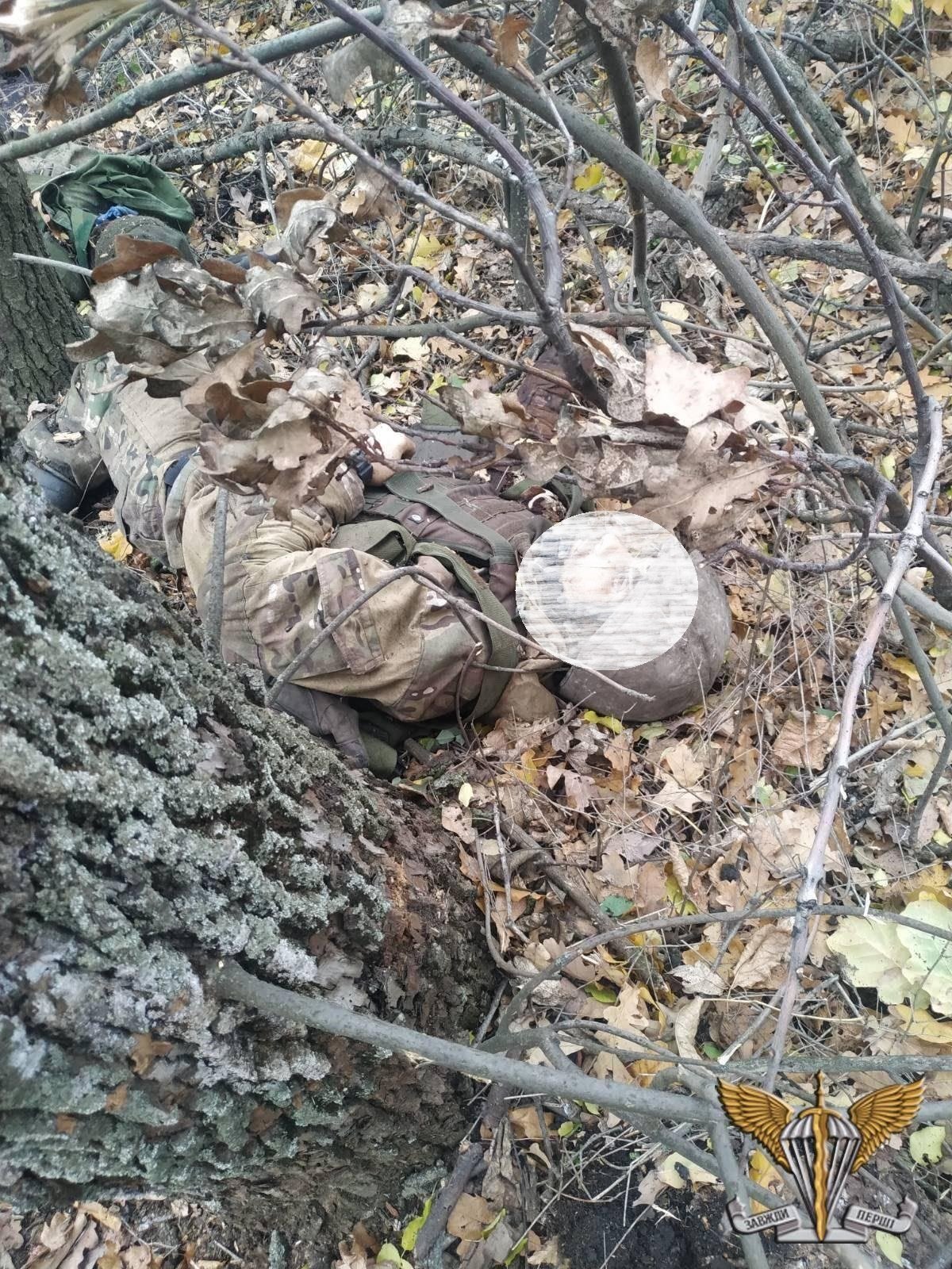  �������� ���������� ������� ������� ��������� �������� ���� 