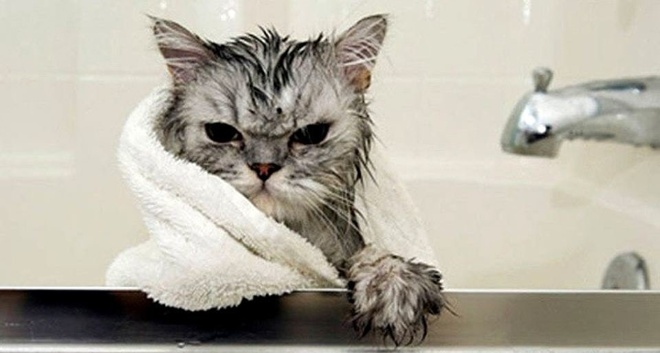  ������ ���������� �������� ���� 