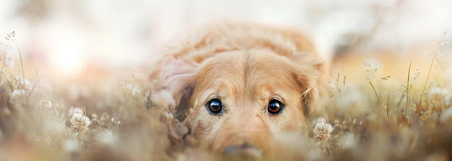  ������ ���� 5-�� ������� ����������� ��������� ����� ������ 