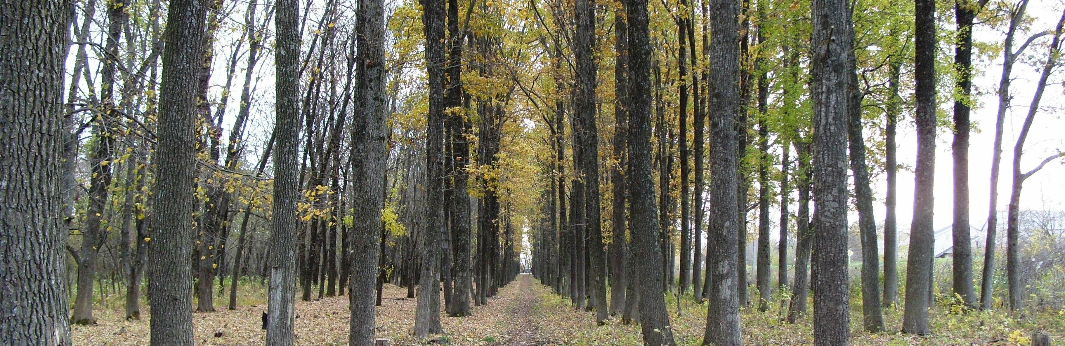  ���������� ������� ���� �������� ���������� ����������� �������� ���� 