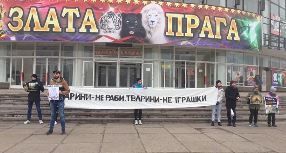  �������� ������� ������������ ������������ ������������ ���� ���� 