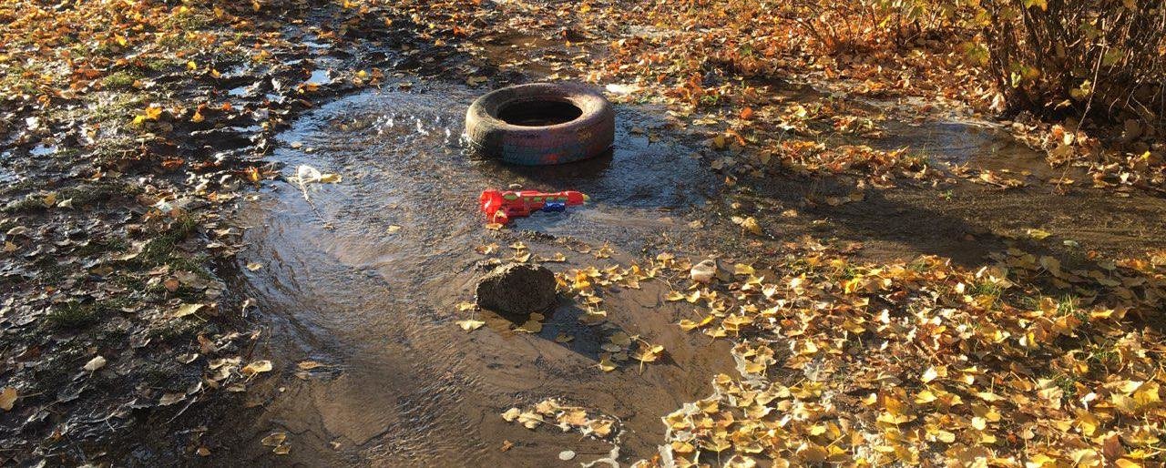  ���� ����� ����������� ���� ������������� ������������� ������ ���� 