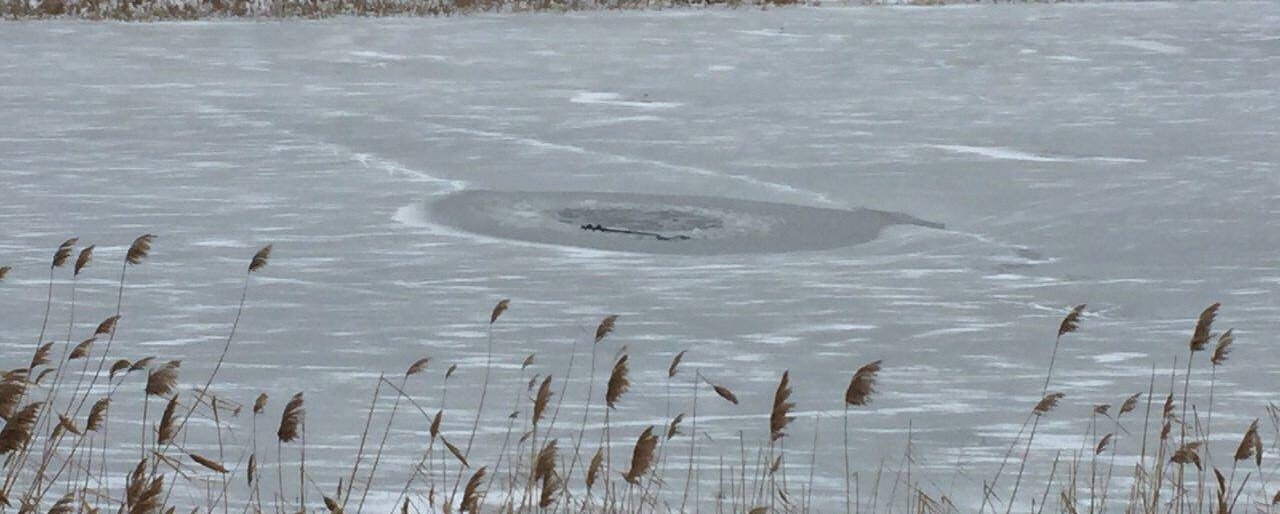  ������������ ��������� ��������� ������� ����� �������� 