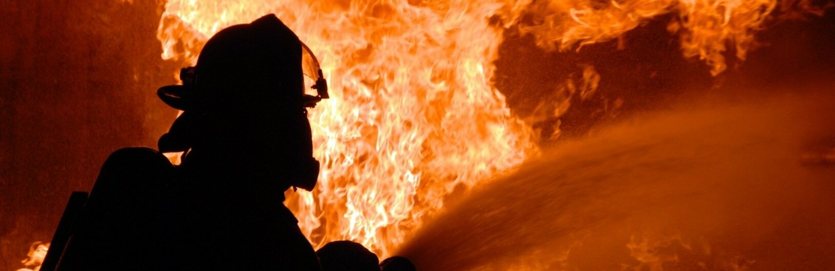  ������������ ����� ����� ������ ����������� ���� 