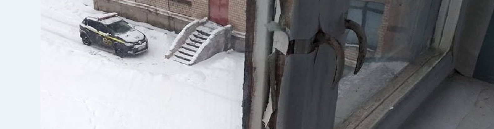  ������������ ���������� ���������� ���������� �������� ������� ���� 