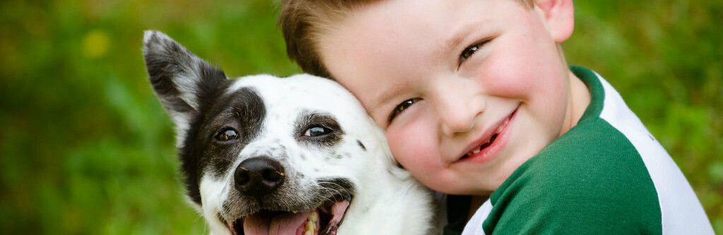 ����: 0564.ua