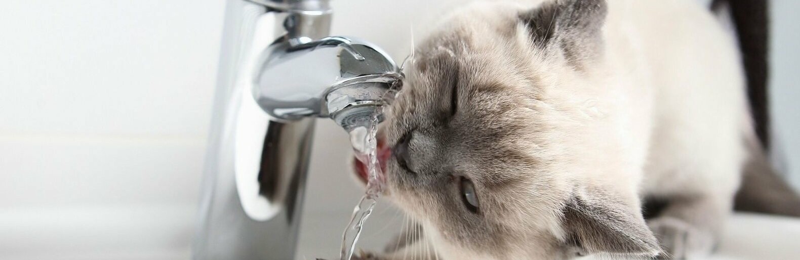  ������ ���� �������� �������� ���� ������ 