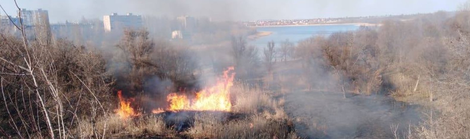  ������ ���� ���������� ������� ����� ����� 