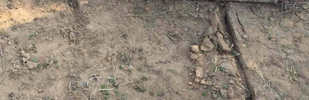  ������������ ����������� ����� ����������� ���������� �������� ���� ������ 