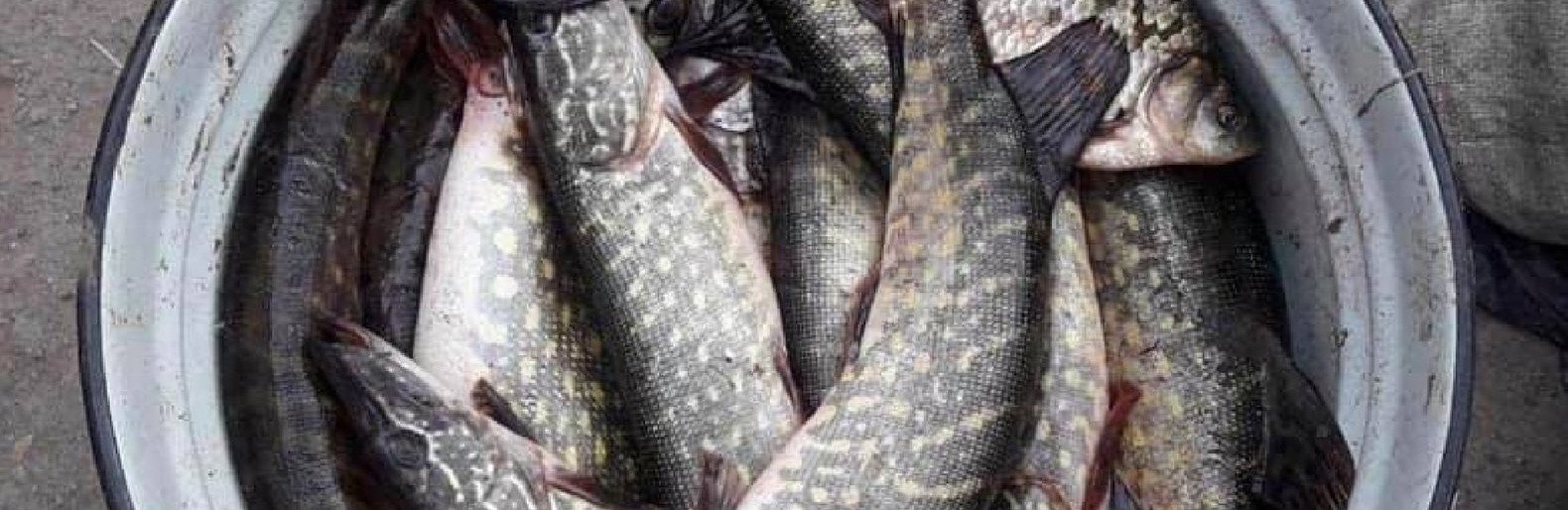  ������ ����� ��������� ���������� 500 ���� ���� 