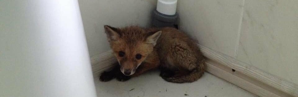  ������������ ������������ ������ ������ ����������� ������� ���� ����� 