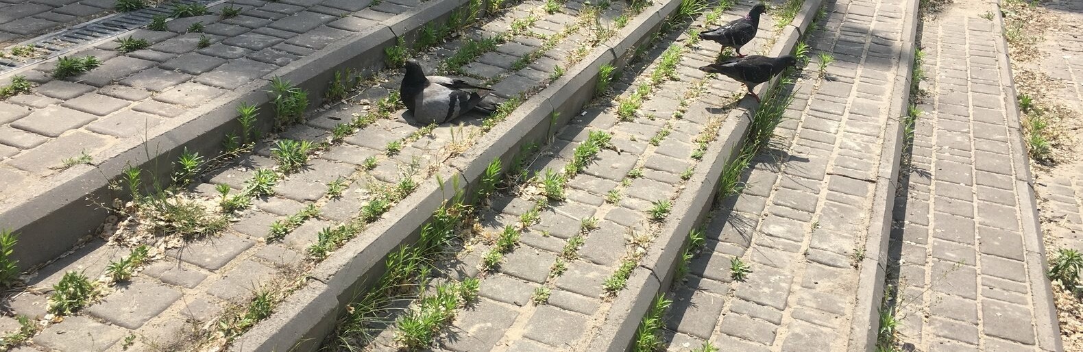  ������������ ������� ��������� ����� ������������� ������ ������� ���� 