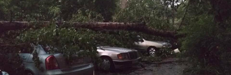  ����������� ����� ������ ���������� ����������� ��������� ������ �������� 