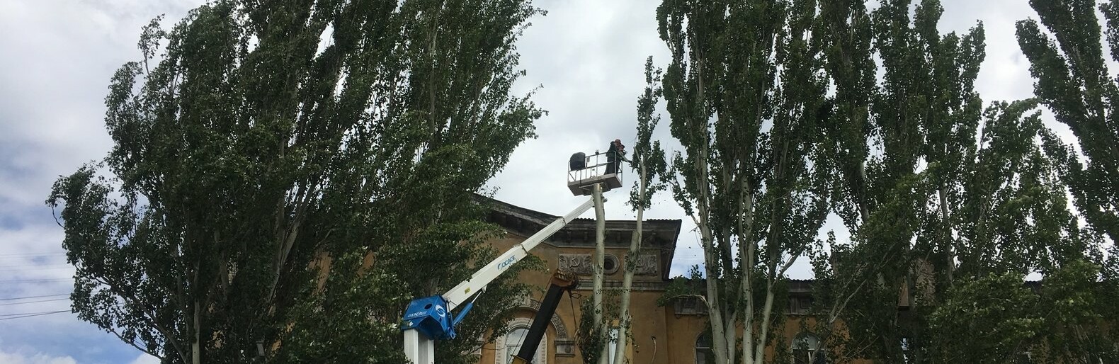  ������ ���� ���������� ������������� ����������� ������ ������� ��������� 