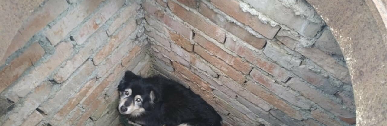  ����������� �������� ������� ������ ��������� ������� ���� 