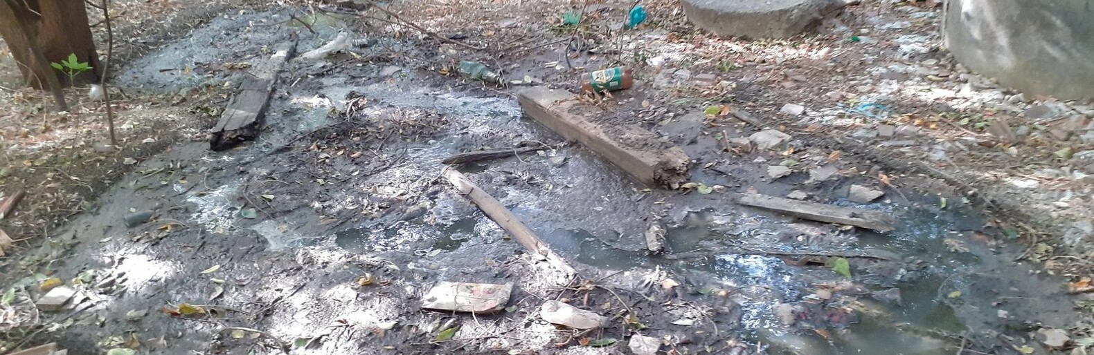  ������� �������� ����� �������� ����������� ������������ ���� ���� 