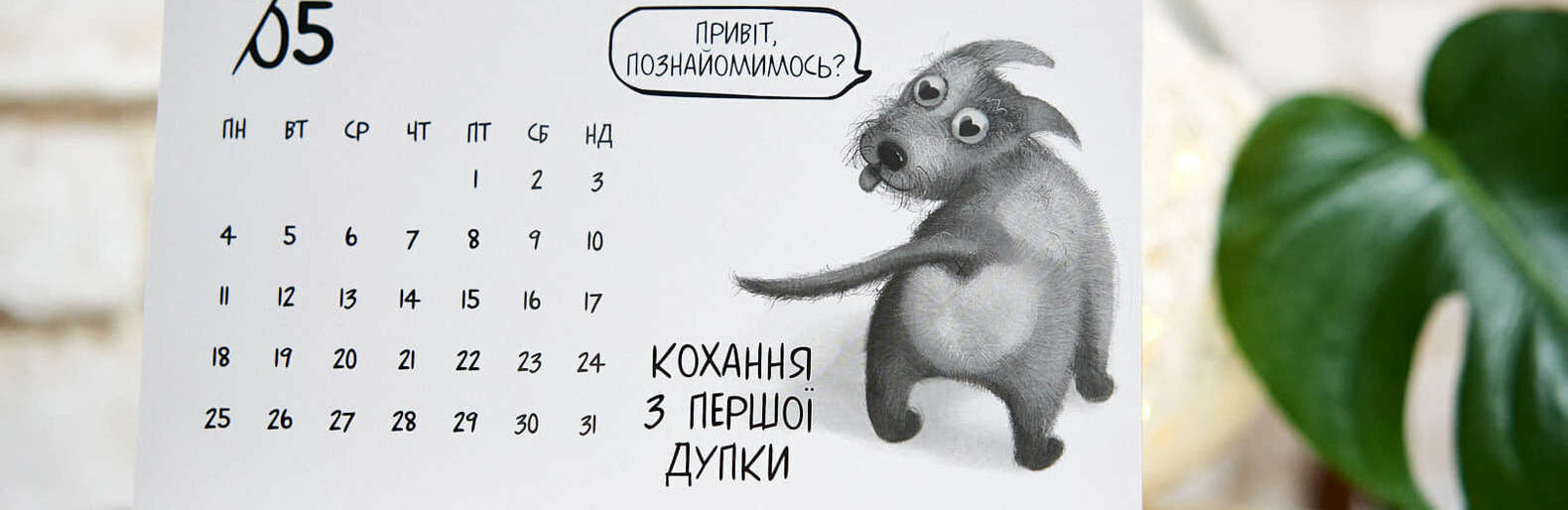  ������� ����� ����� ������ ���� ������� ����������������� ��������� 