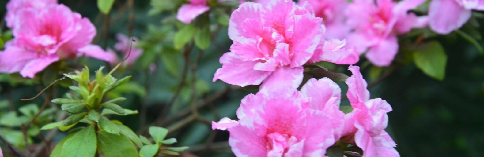  ������������ ������������ ���� �������� ������ ���� 