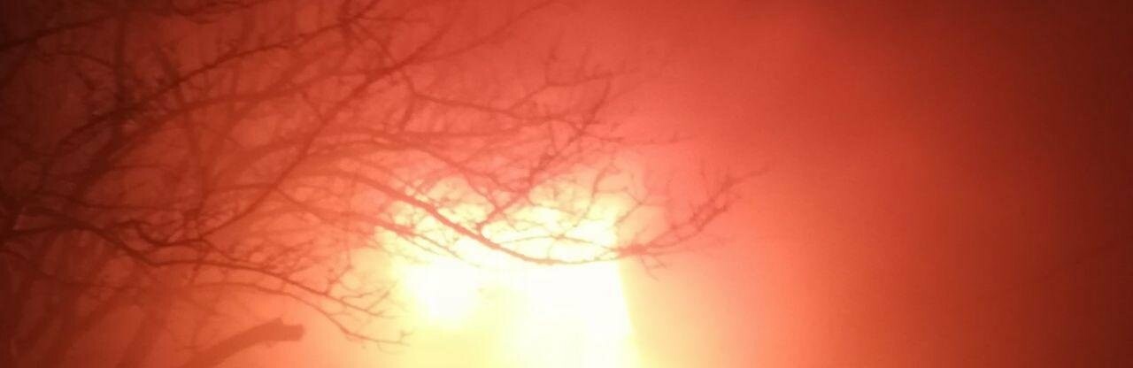  ������ ���� ���������� ��������� ��������� ������ ��� ���� 