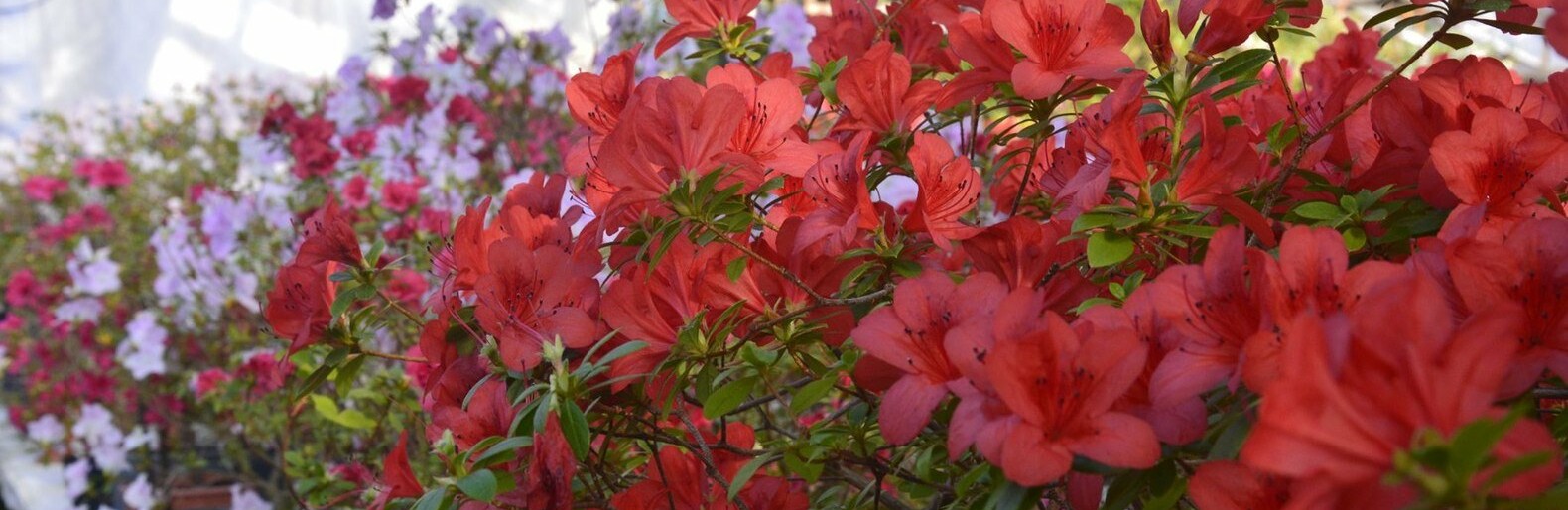 ����: 0564.ua