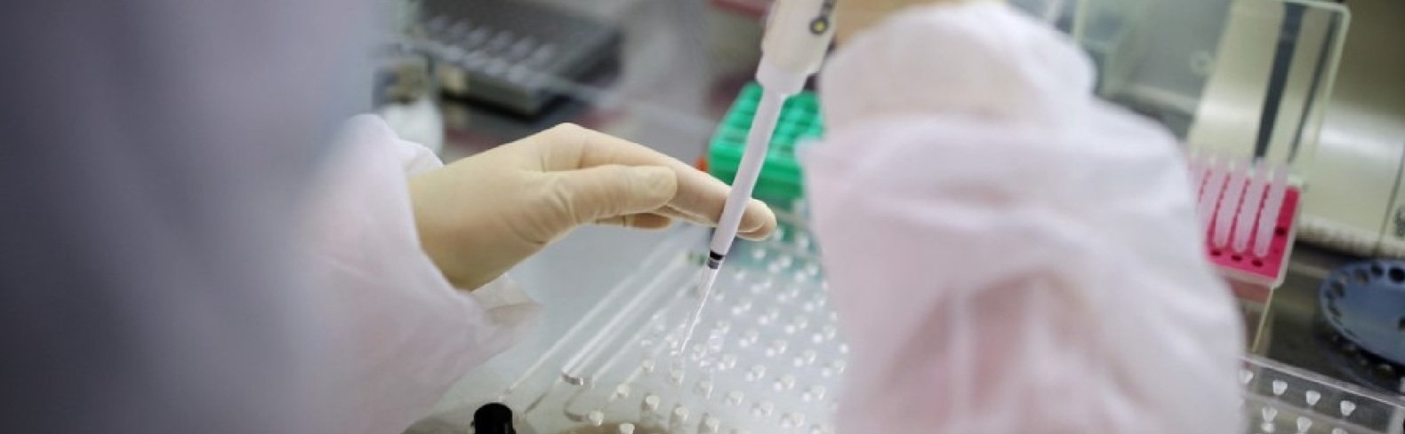  ���������������� ���� �������������� ������ covid-19 ������� -14 ���������� 