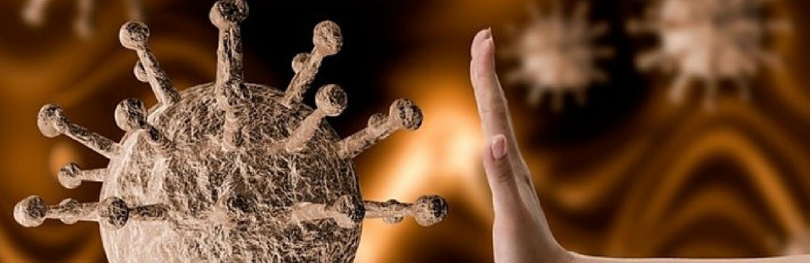  ����������� ������������ covid-19 ������������ ������ 