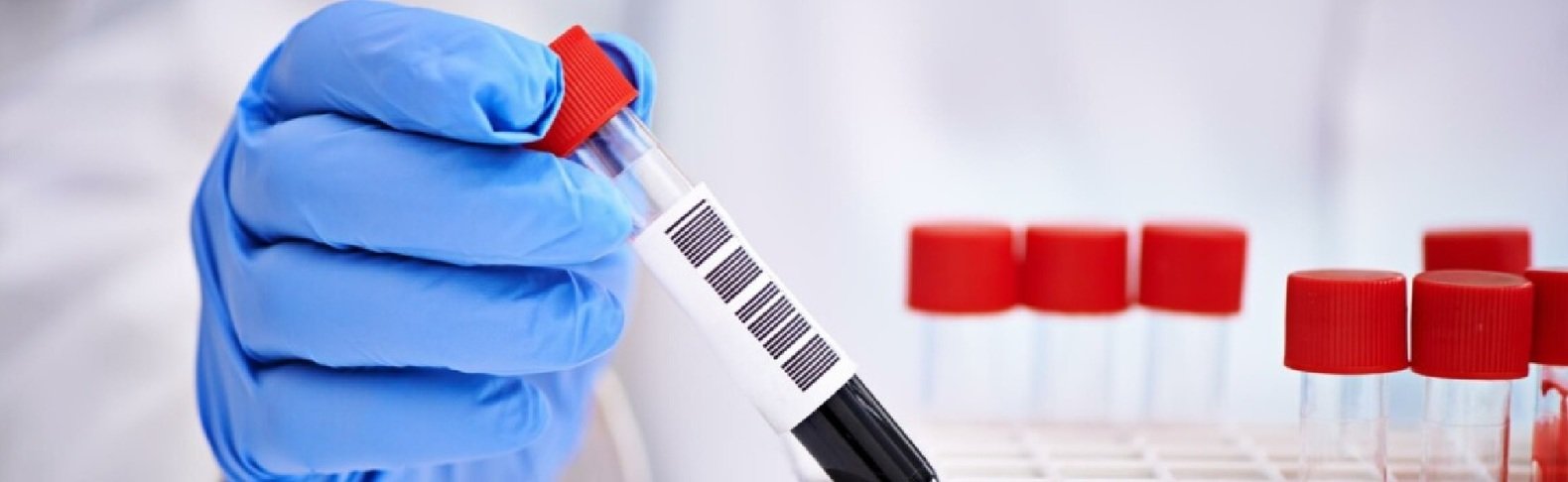  ���� ���������� ������������ �������� ������������ ����������� ����������� ������ 