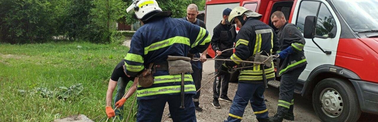  ������������ ��������� ������� ���������� ����� 7-��������� ������� ����� 