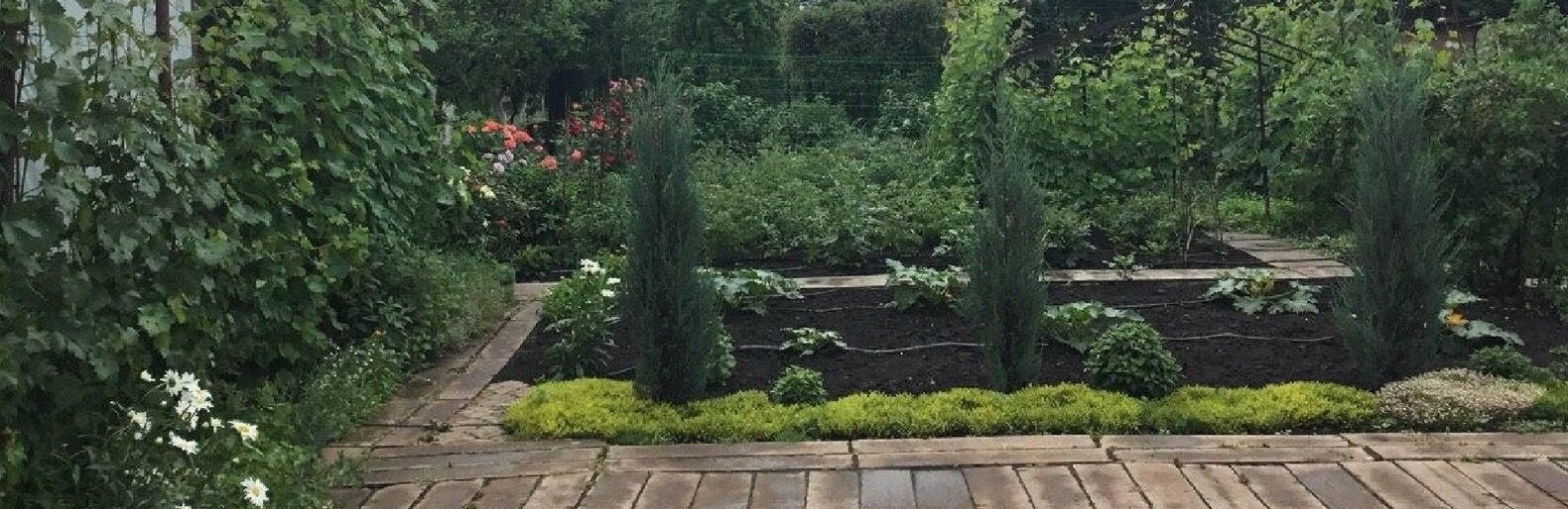  ������� ��������� ������������� ������ ������ ���� ��������� ������ 