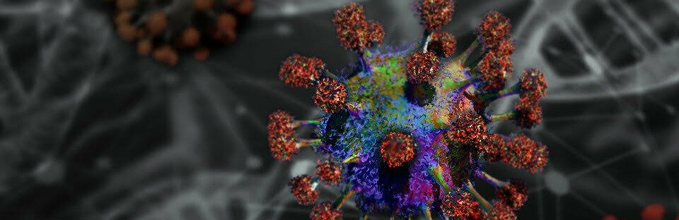  ������� ������������� 664 ������ covid-19 