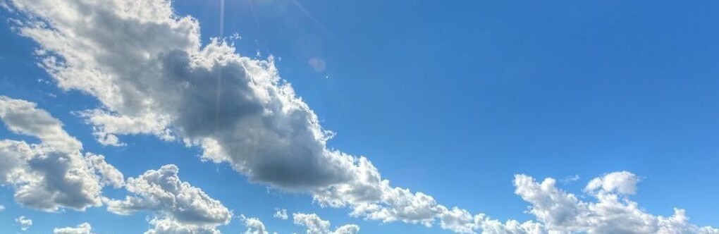  ������ ������ ���� ���� ������� 