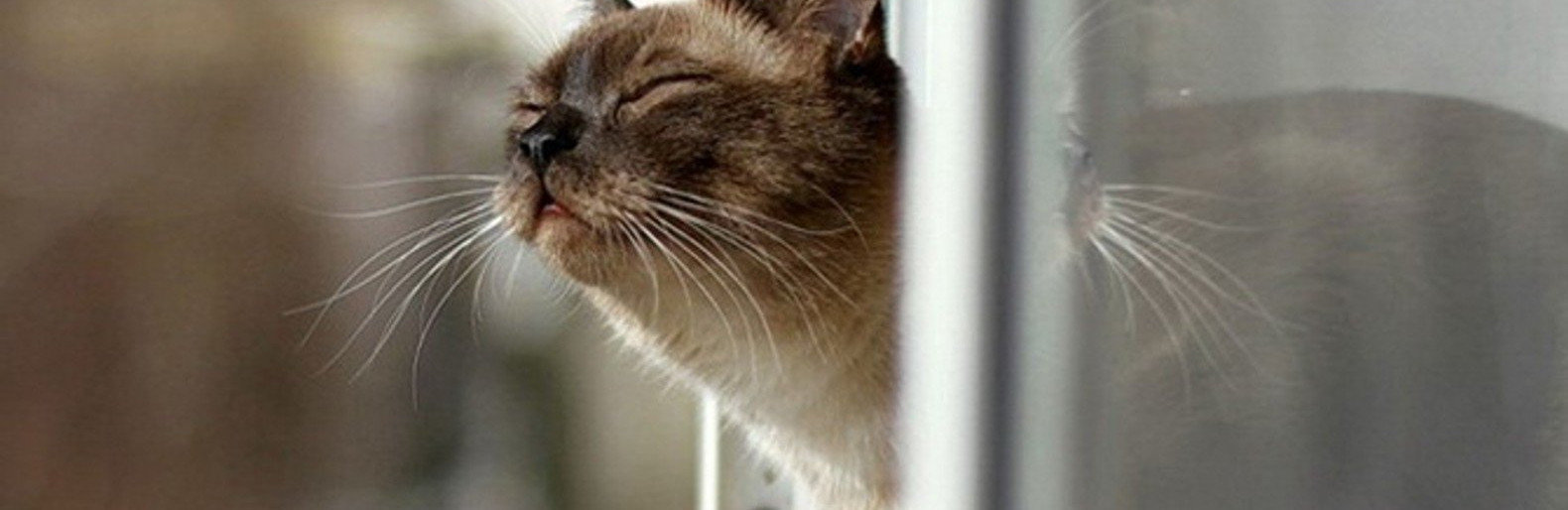  ������ ������ ���� ������� ���� 