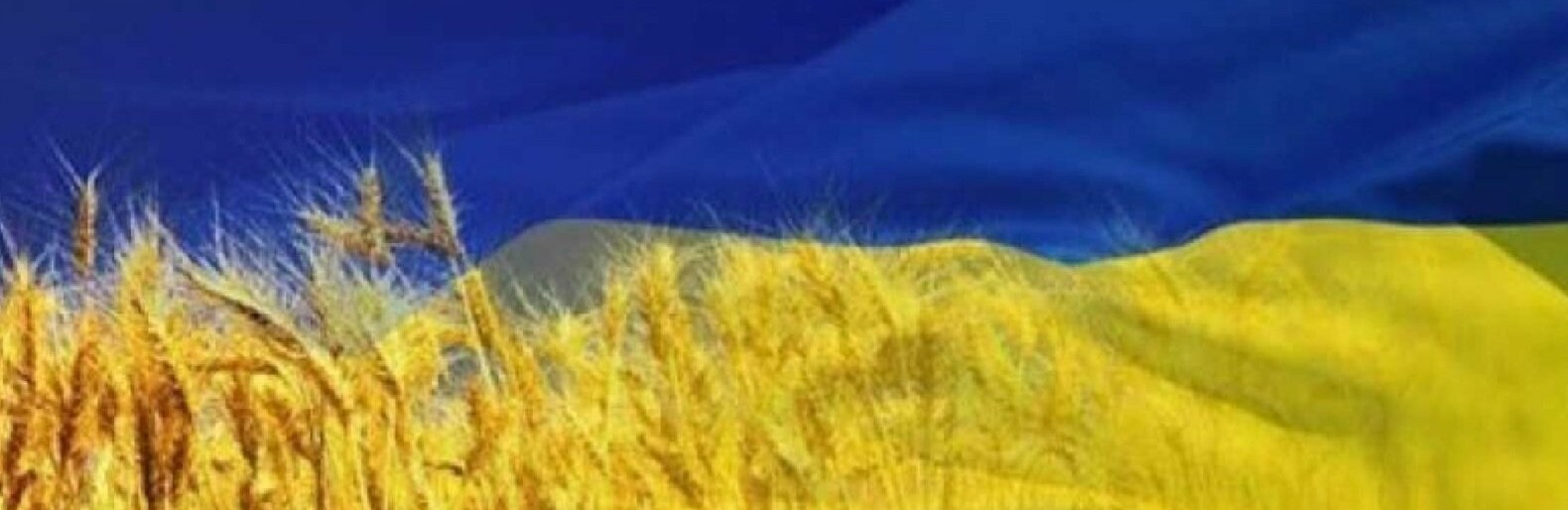  ���� ����� ������ �������� �������� ������� ����������� ���������� 