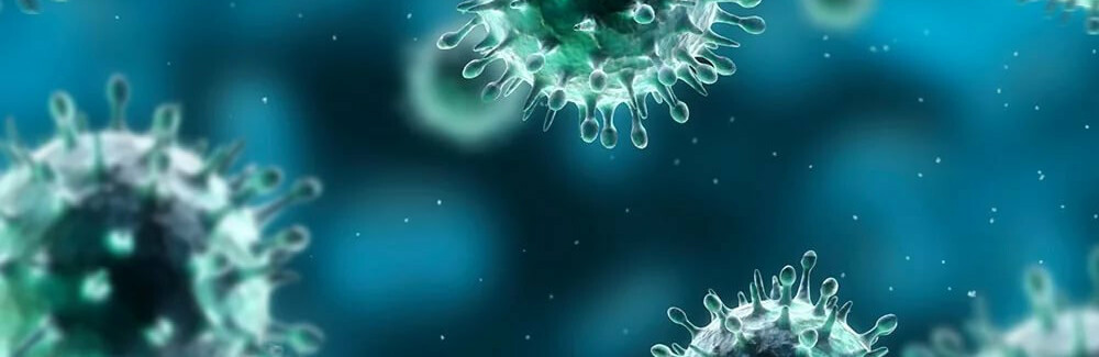  �������� ����� ������ ���� ������������ ������ covid-19 